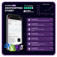 EcomHub PRO Dropshipping Store®