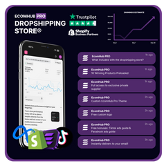 EcomHub PRO Dropshipping Store®