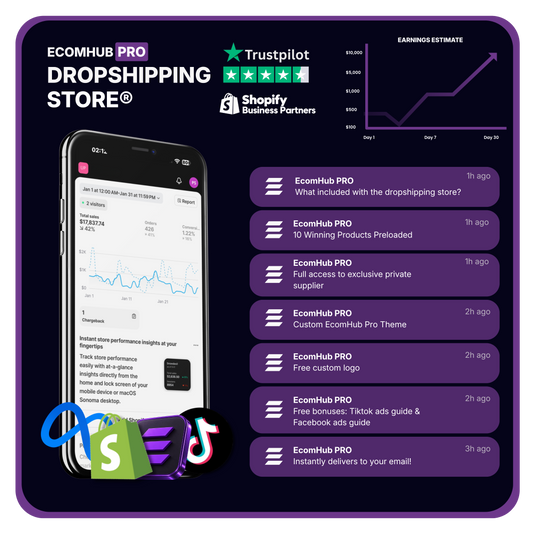EcomHub PRO Dropshipping Store®